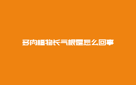 多肉植物长气根是怎么回事