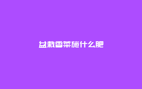 盆栽香菜施什么肥