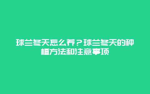 球兰冬天怎么养？球兰冬天的种植方法和注意事项