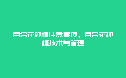 百合花种植注意事项，百合花种植技术与管理