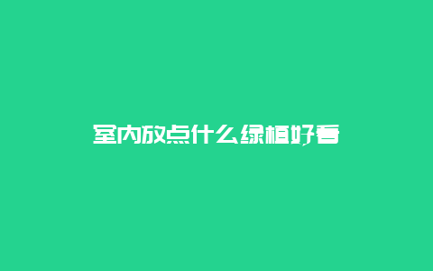 室内放点什么绿植好看