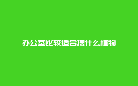 办公室比较适合摆什么植物