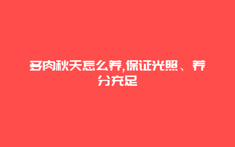 多肉秋天怎么养,保证光照、养分充足