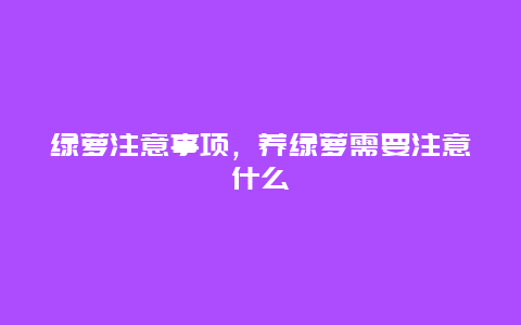 绿萝注意事项，养绿萝需要注意什么