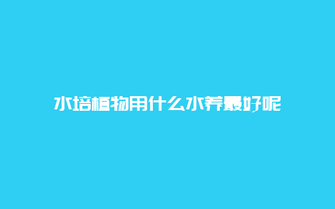 水培植物用什么水养最好呢