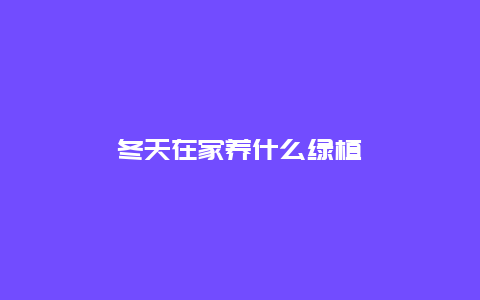 冬天在家养什么绿植