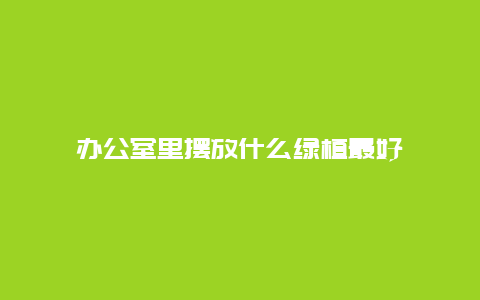 办公室里摆放什么绿植最好