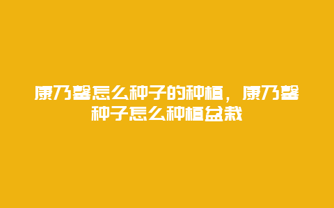 康乃馨怎么种子的种植，康乃馨种子怎么种植盆栽