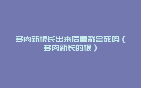 多肉新根长出来后重栽会死吗（多肉新长的根）