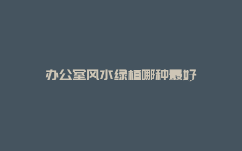 办公室风水绿植哪种最好