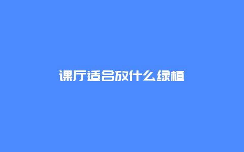 课厅适合放什么绿植