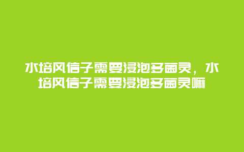 水培风信子需要浸泡多菌灵，水培风信子需要浸泡多菌灵嘛