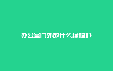 办公室门外放什么绿植好