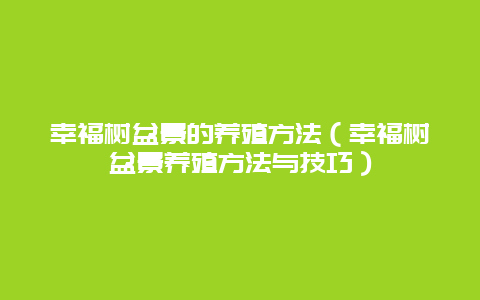 幸福树盆景的养殖方法（幸福树盆景养殖方法与技巧）