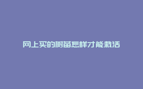 网上买的树苗怎样才能栽活