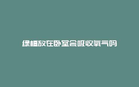 绿植放在卧室会吸收氧气吗