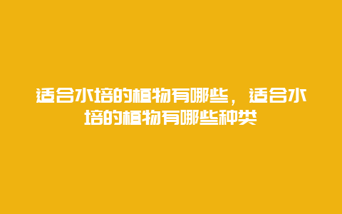 适合水培的植物有哪些，适合水培的植物有哪些种类