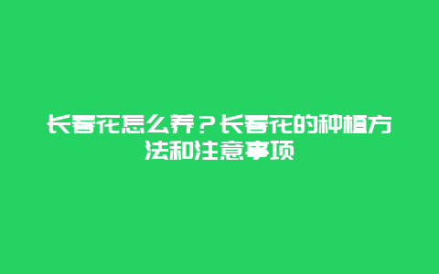 长春花怎么养？长春花的种植方法和注意事项