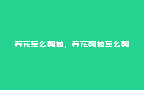 养花怎么剪枝，养花剪枝怎么剪