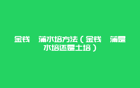 金钱菖蒲水培方法（金钱菖蒲是水培还是土培）