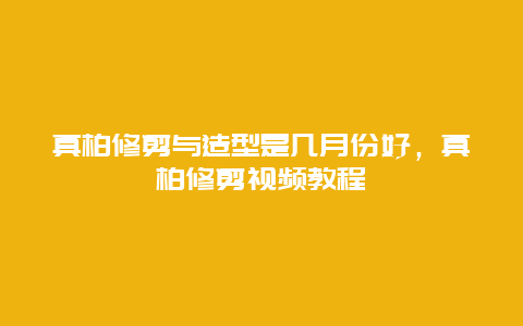 真柏修剪与造型是几月份好，真柏修剪视频教程