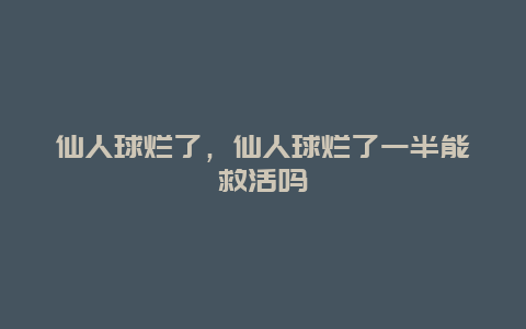 仙人球烂了，仙人球烂了一半能救活吗