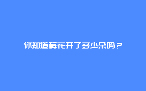 你知道梅花开了多少朵吗？