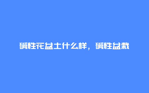 碱性花盆土什么样，碱性盆栽