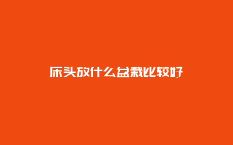 床头放什么盆栽比较好