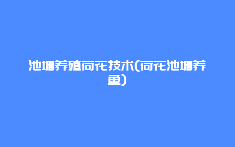 池塘养殖荷花技术(荷花池塘养鱼)