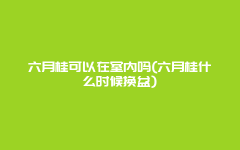 六月桂可以在室内吗(六月桂什么时候换盆)