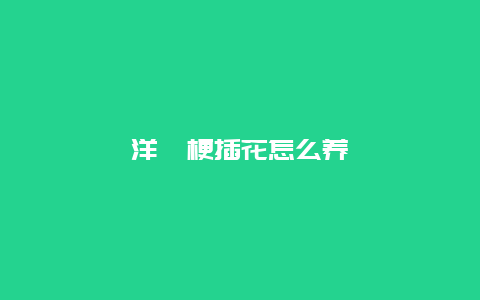 洋桔梗插花怎么养