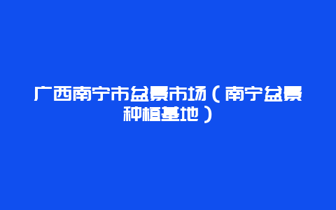 广西南宁市盆景市场（南宁盆景种植基地）