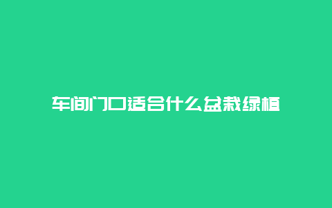 车间门口适合什么盆栽绿植