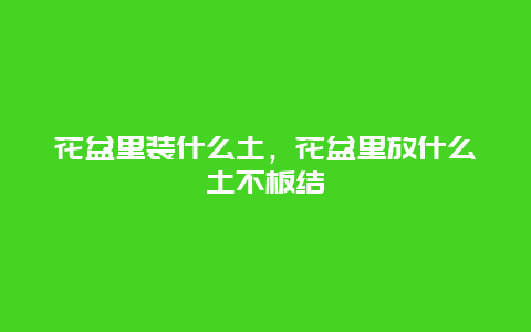 花盆里装什么土，花盆里放什么土不板结