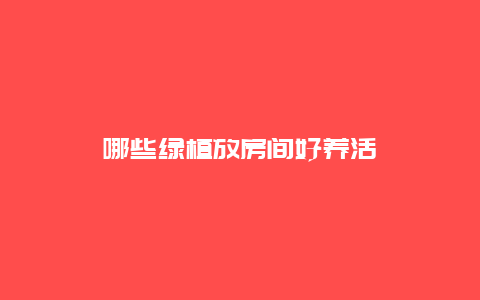 哪些绿植放房间好养活