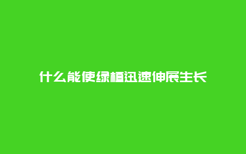 什么能使绿植迅速伸展生长