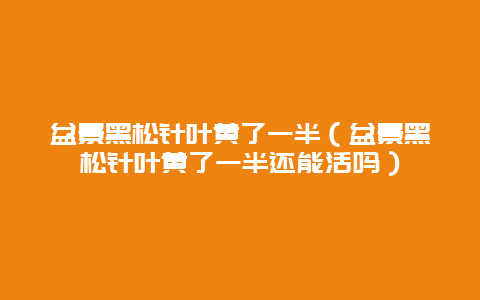 盆景黑松针叶黄了一半（盆景黑松针叶黄了一半还能活吗）