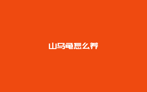 山乌龟怎么养