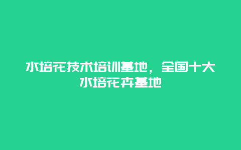 水培花技术培训基地，全国十大水培花卉基地