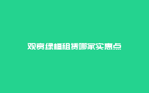 观赏绿植租赁哪家实惠点