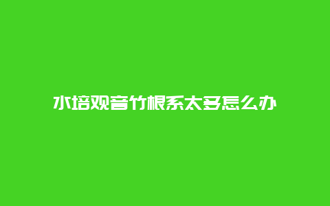 水培观音竹根系太多怎么办