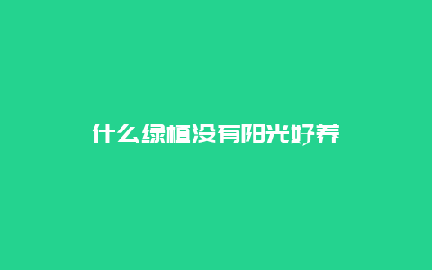 什么绿植没有阳光好养