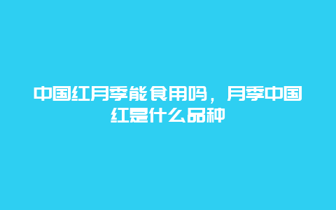 中国红月季能食用吗，月季中国红是什么品种