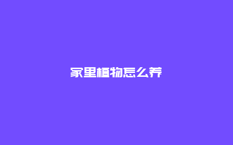 家里植物怎么养