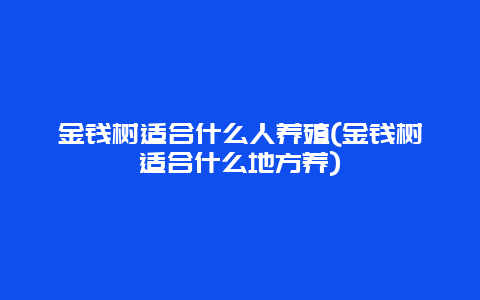 金钱树适合什么人养殖(金钱树适合什么地方养)