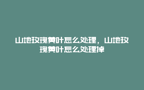 山地玫瑰黄叶怎么处理，山地玫瑰黄叶怎么处理掉