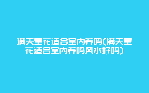 满天星花适合室内养吗(满天星花适合室内养吗风水好吗)