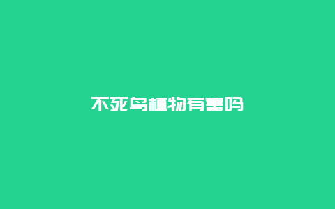 不死鸟植物有害吗