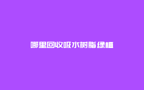 哪里回收吸水树脂绿植